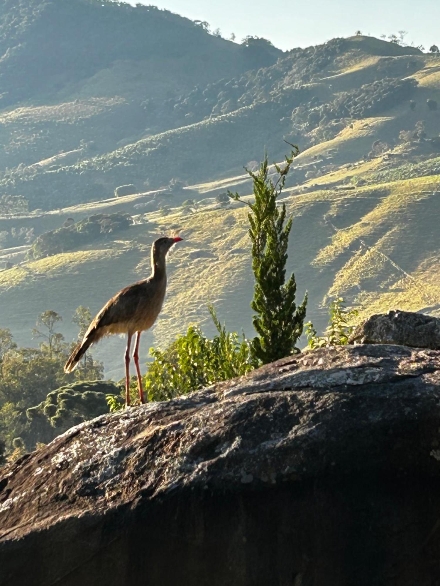 Pousada Terra Dos Passaros São Bento do Sapucaí Eksteriør billede